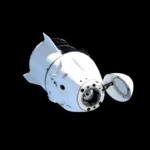 SpaceX Dragon, ISS cargo mission, SpaceX Dragon sonic boom, SpaceX splashdown, NASA resupply, SpaceX reentry, Dragon capsule